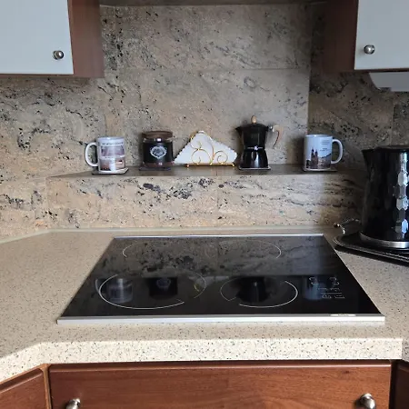 公寓 Vip Cracow 克拉科夫