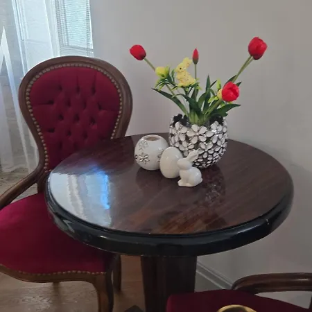 公寓 Vip Cracow 克拉科夫