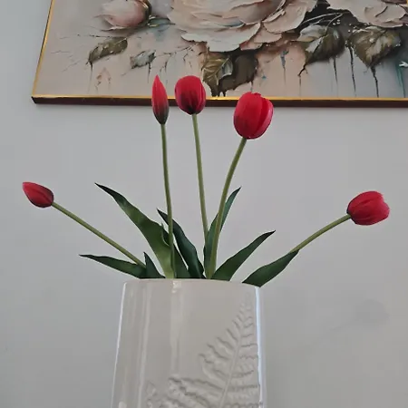 Vip Cracow 克拉科夫