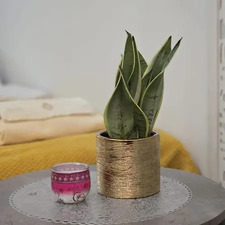 Appartement Vip Cracow *