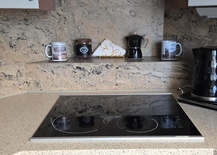 Appartement Vip Cracow Cracovie